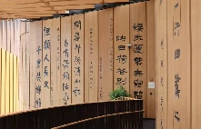 哪里有针对青少年的篮球声誉培养计划_2